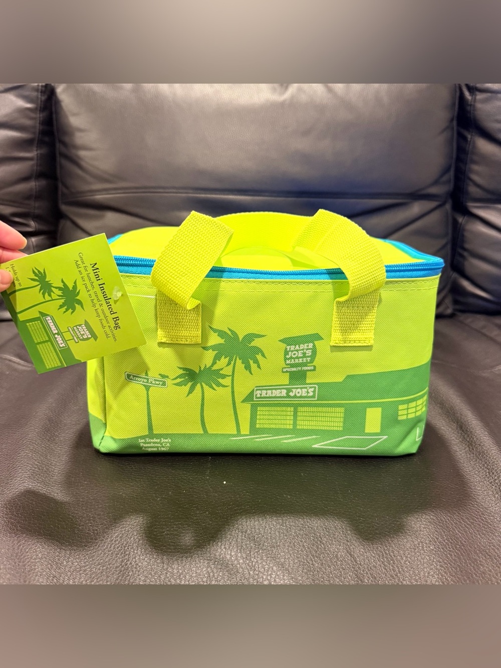 Trader Joe's Light Green Mini Insulated Lunch Bag Cooler Bag